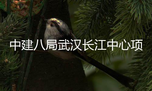 武汉中建中心大会誓师八局项目千人长江举行